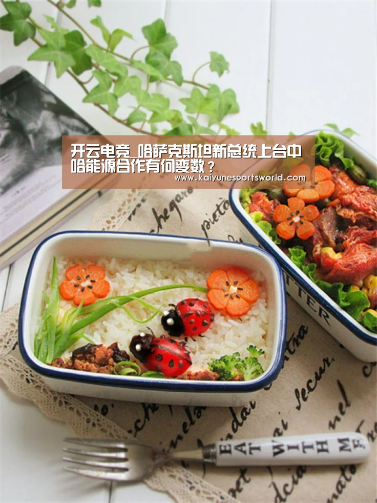 开云电竞_哈萨克斯坦新总统上台中哈能源合作有何变数？
