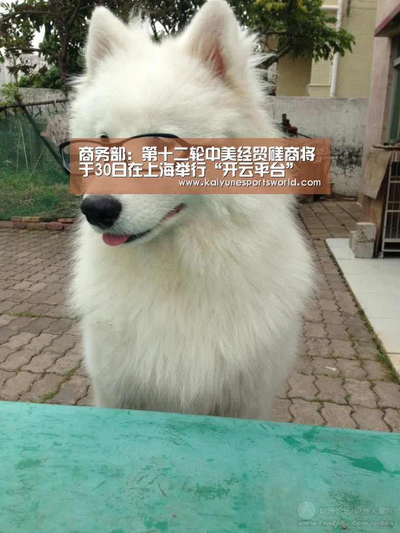 开云热门