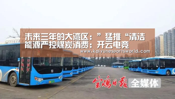 未来三年的大湾区:”猛推“清洁能源严控煤炭消费:开云电竞(图4) 开云体育