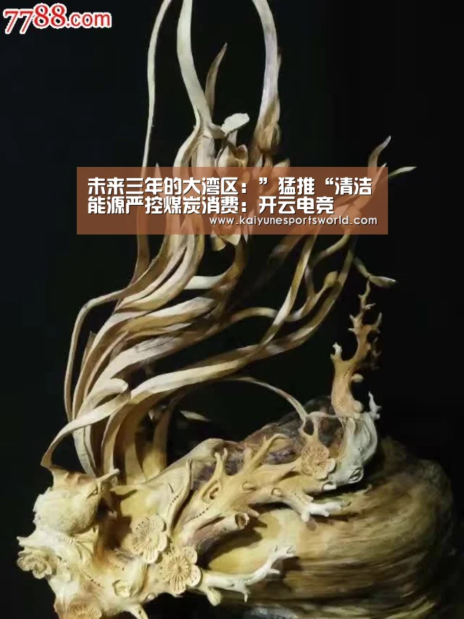未来三年的大湾区:”猛推“清洁能源严控煤炭消费:开云电竞(图2) 开云电竞